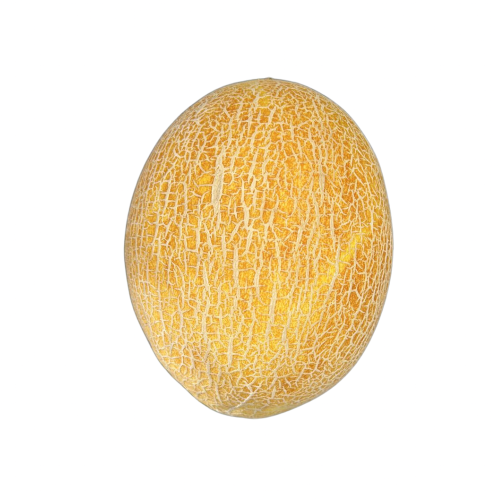 فاكهة شمام طازجة