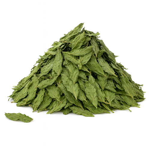 ورق ملوخية ناشفة