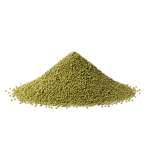 حبوب الماش الأخضر