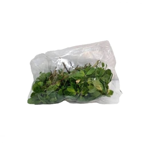 نعناع مغربي مديني