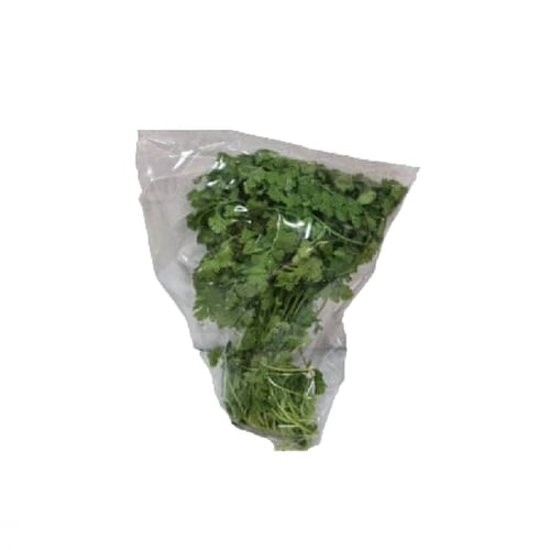 حزمة كزبرة نباتي طازجة