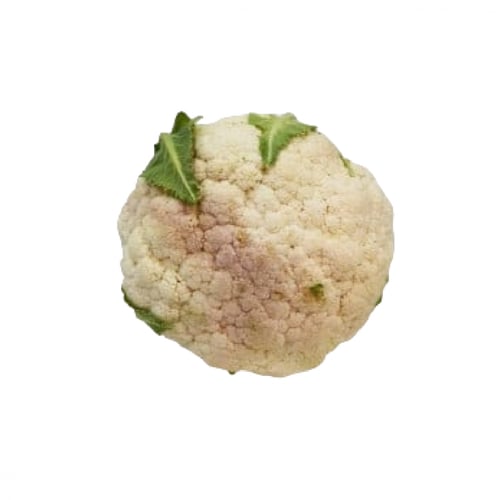 زهرة بيضة قرنبيط خضار