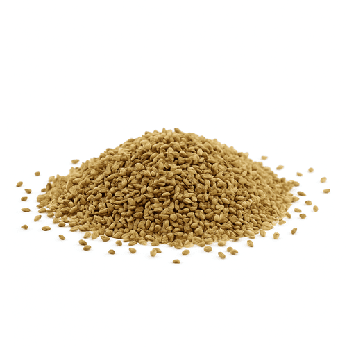 بذور الكرفس العضوي