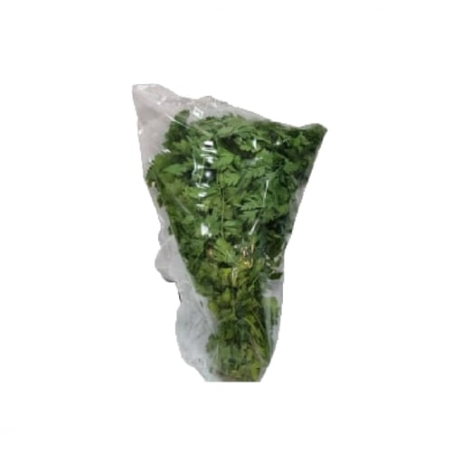 حزمة بقدونس طازجة نبات