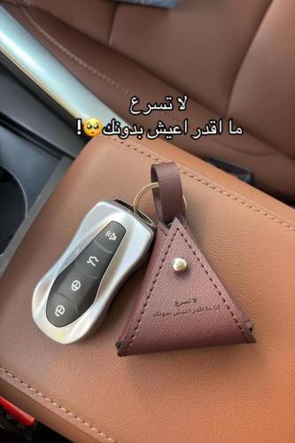 ميدالية جلد بني