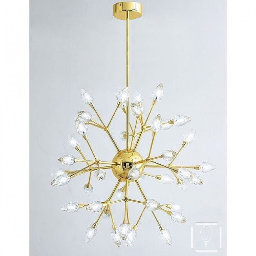 ثريا ميدلين Medellin من روسلين