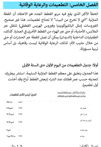 دليل تربية القطط المنزلية