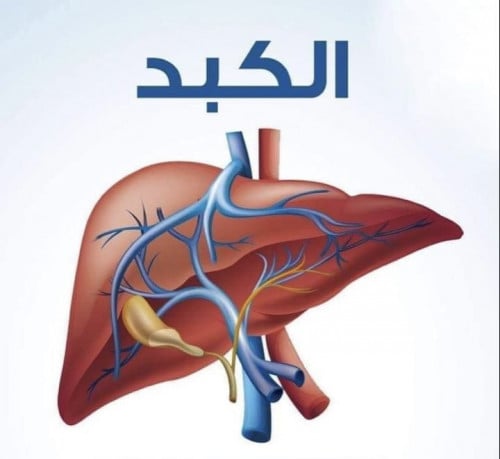 تنظيف الكبد