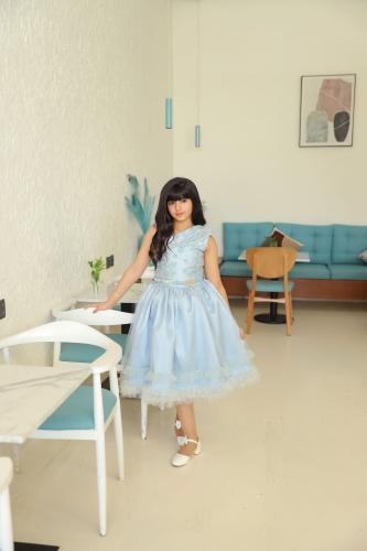 فستان انيق بتطريز فاخر