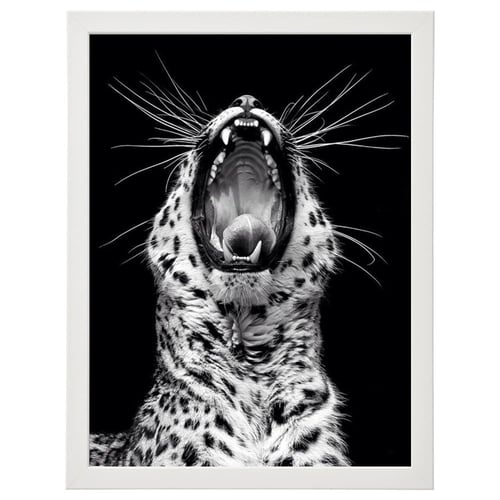 لوحة جدارية فنية Wild Tiger نمر البري برواز ابيض ،...