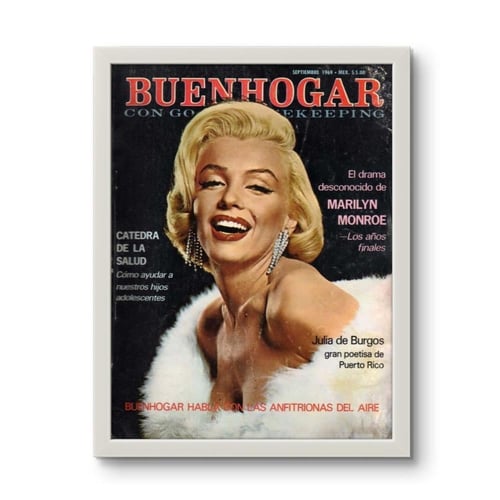 لوحة جدارية مارلين مونرو