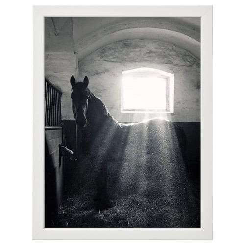 لوحة جدارية فنية حصان عربي برواز ابيض ، اسود