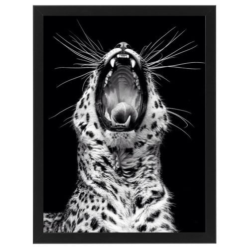 لوحة جدارية فنية Wild Tiger نمر البري برواز ابيض ،...