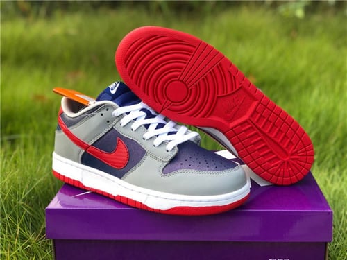 Nike dunk low Sampa 2020