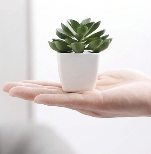 نباتات اصطناعية