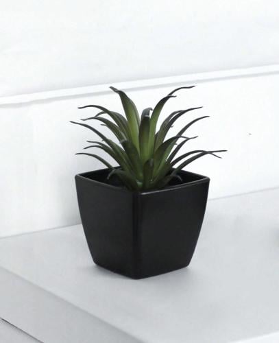 نباتات اصطناعية اسود