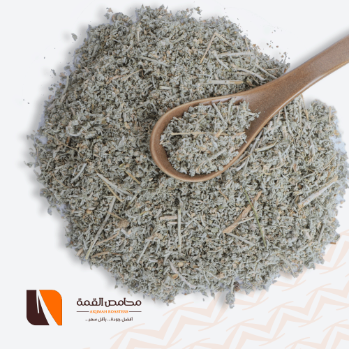 عشبة الشيح
