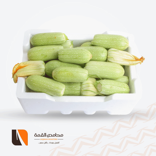 كوسا القصيم فلين وسط