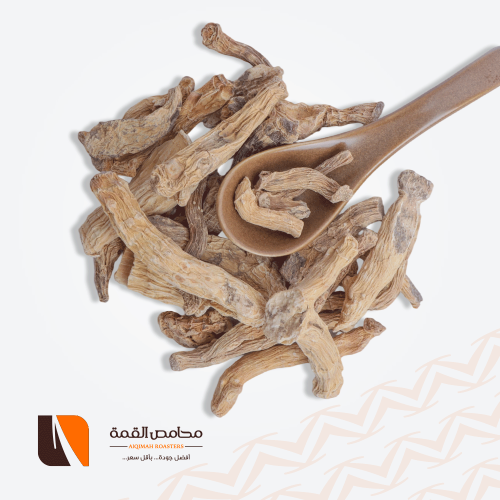 رجل الاسد