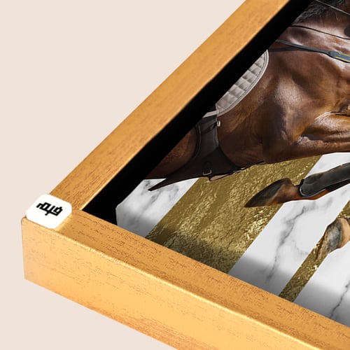 لوحة عداد كانفس