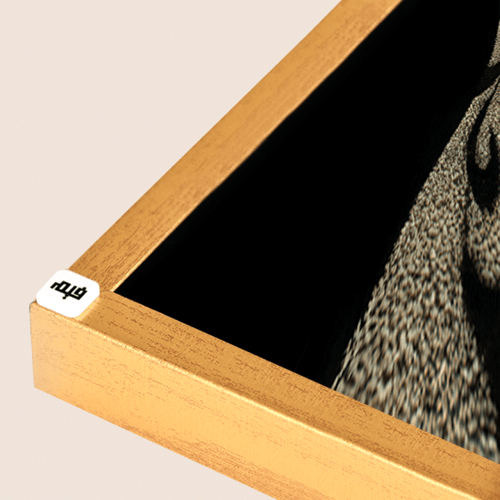 لوحة عداد كانفس