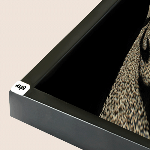 لوحة عداد كانفس