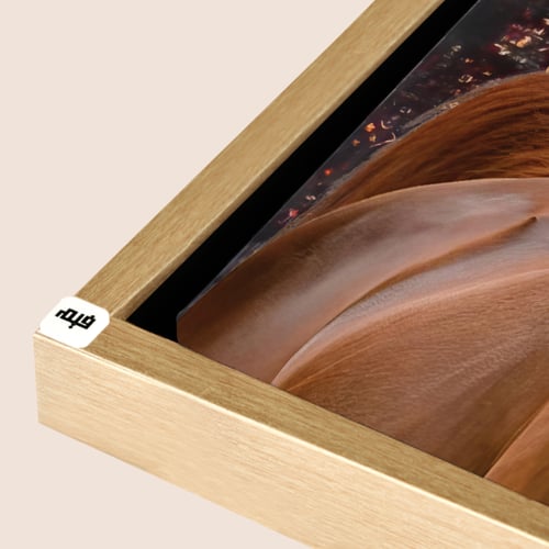 لوحة جدارية كانفس خيل بخلفية زخارف