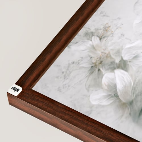 لوحة جدارية كانفس تصور تفتح زهور بيضاء