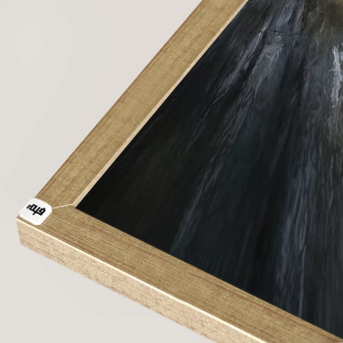 لوحة جدارية كانفس فتاة تدرجات الرمادي مع الأبيض وا...