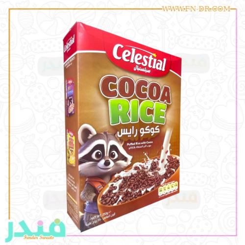 حبوب افطار كوكو رايس حبوب الارز المغطاة بالكاكاو