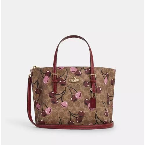 حقيبة coach