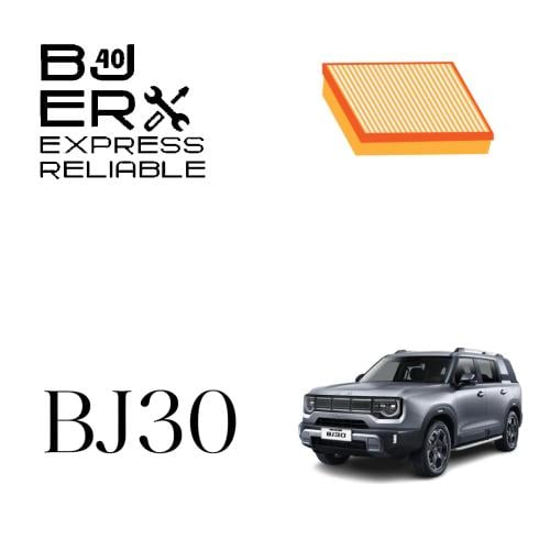 فلتر هواء مكينة A00067644 BJ30