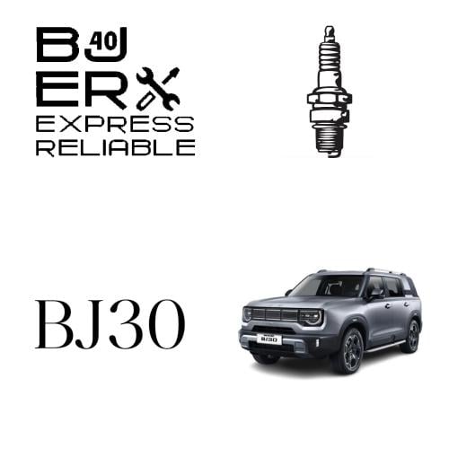 بواجي T00002618 BJ30