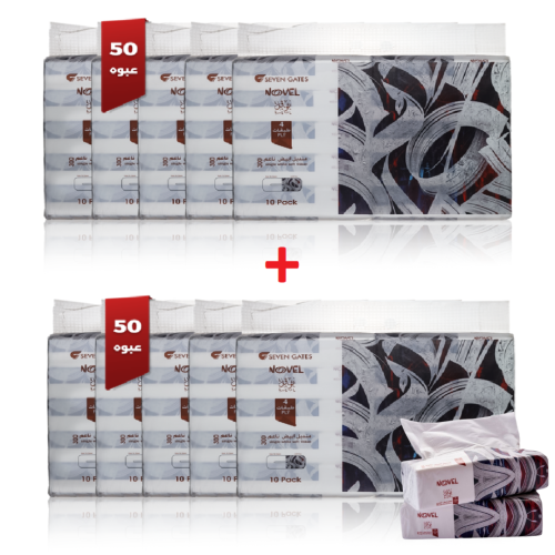 Nofal tissues 300 tissues - 100 pieces