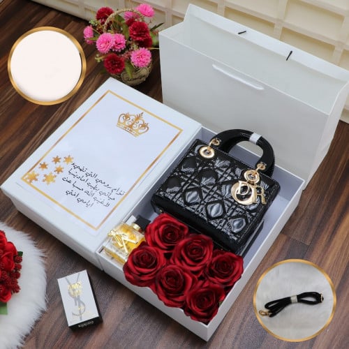 طقم نسائي شنطة بشكل راقي وانيق موديل MY-1254