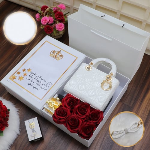 طقم نسائي شنطة بشكل راقي وانيق موديل MY-1254