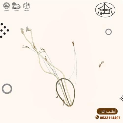 شبك طير ظهر