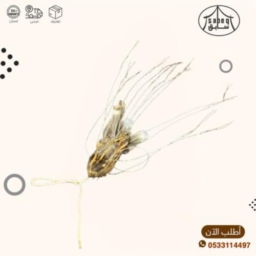 نقل طير تعليق صغير