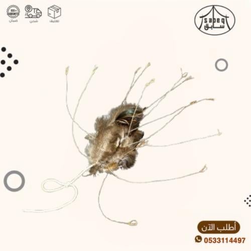 نقل طير تعليق كبير