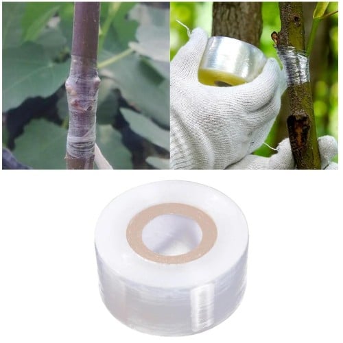 شريط تطعيم لاصق