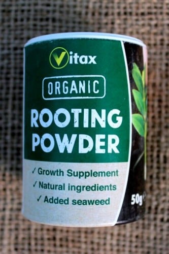 هرمون تجذير عضوي