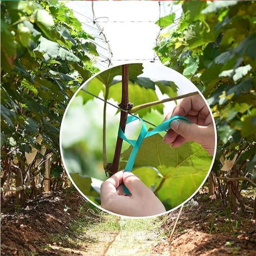 شريط لين لربط الشتلات