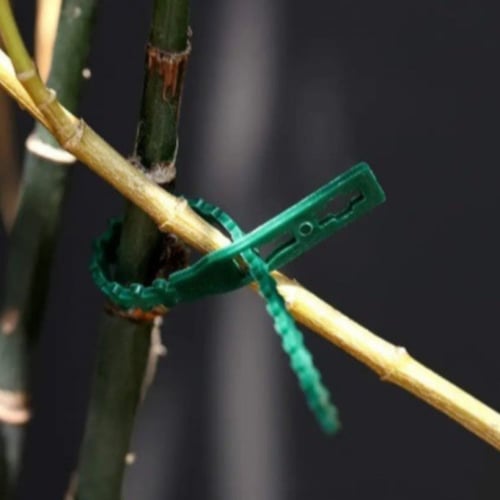 شداد لربط الشتلات 35 سم