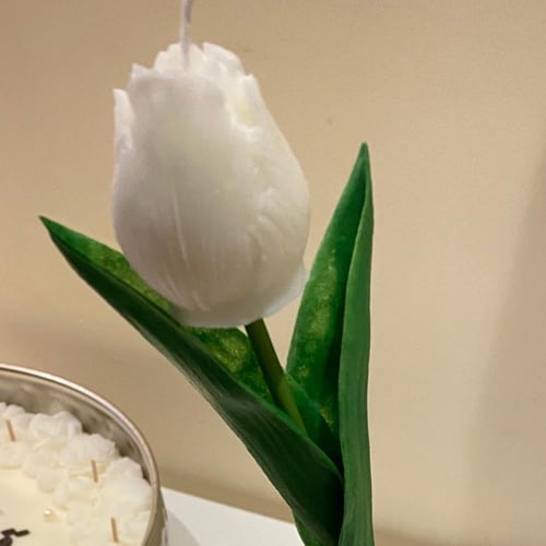 وردة التوليب بساق صناعية