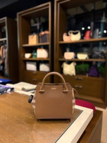 بربري | BERBERRY