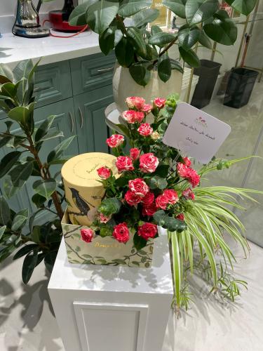 حلا الأنوش احمر