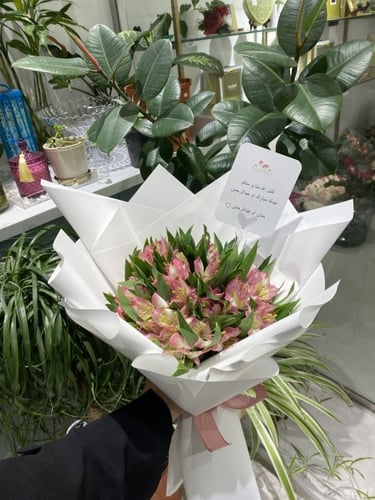 استروميريا