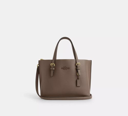 COACH | Mollie Tote Bag 25