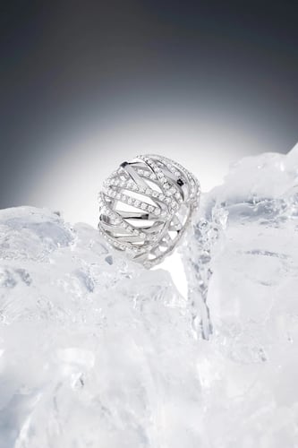 APM Monaco | hiver | Sterling Silver | خاتم ستيتمن...