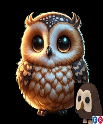 owl ( FR )